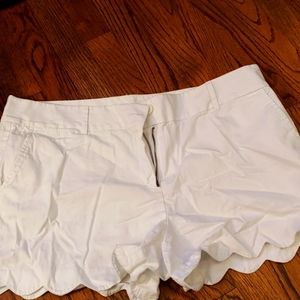 Loft Shorts